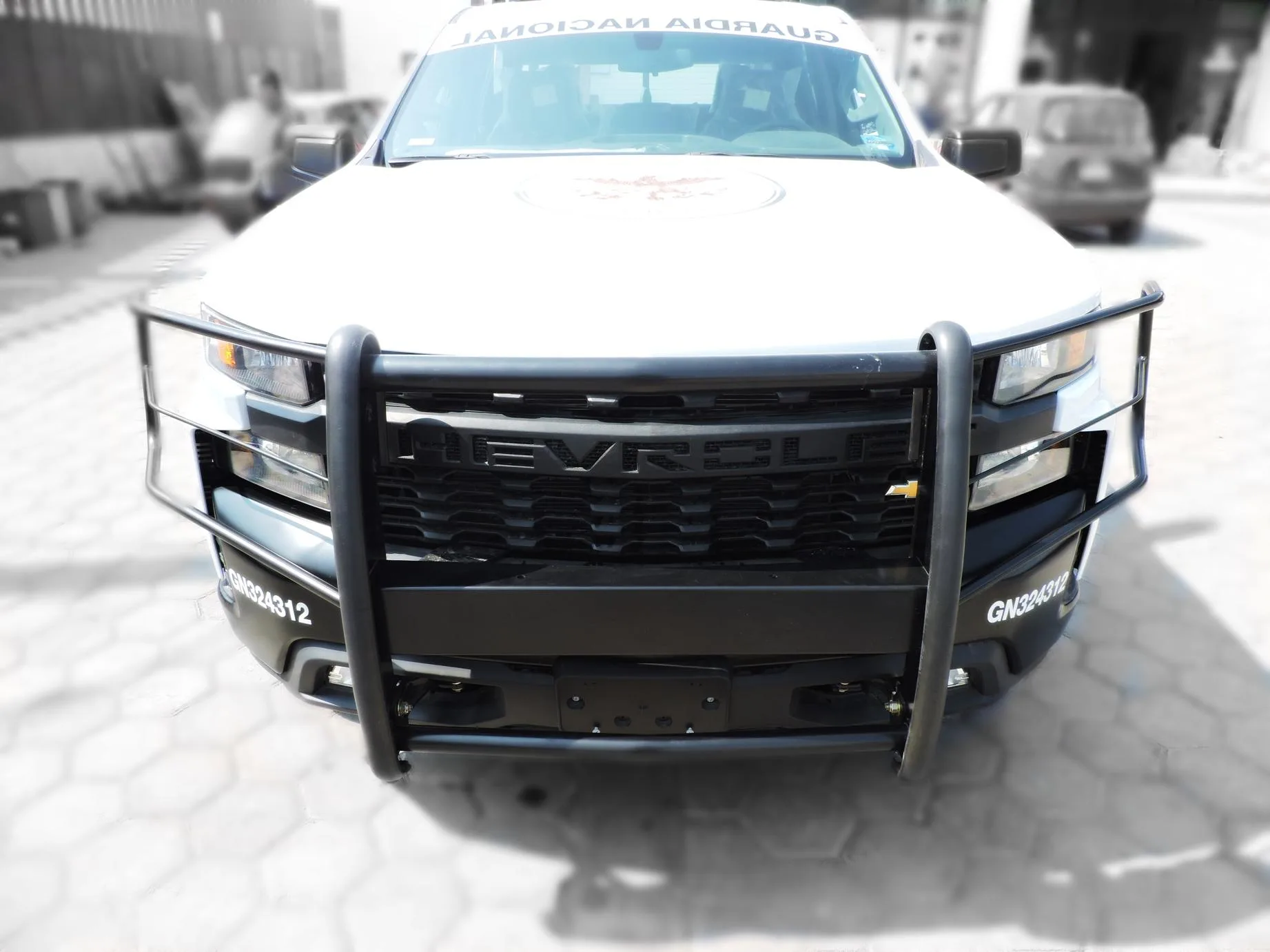 Pick up con tumbaburro, vista frontal